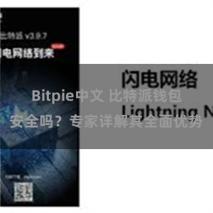 Bitpie中文 比特派钱包安全吗？专家详解其全面优势