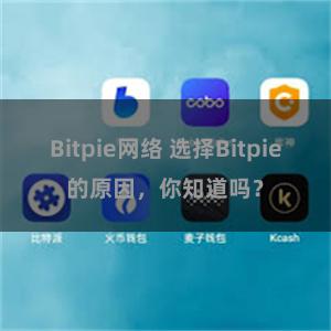 Bitpie网络 选择Bitpie的原因，你知道吗？