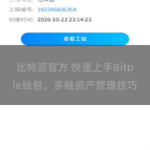 比特派官方 快速上手Bitpie钱包，多链资产管理技巧