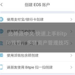 比特派中文 快速上手Bitpie钱包，多链资产管理技巧