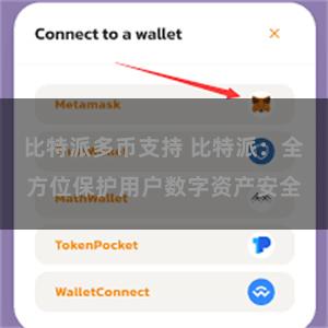 比特派多币支持 比特派：全方位保护用户数字资产安全