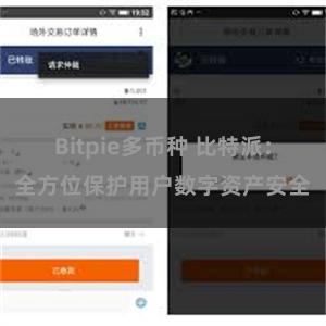 Bitpie多币种 比特派：全方位保护用户数字资产安全