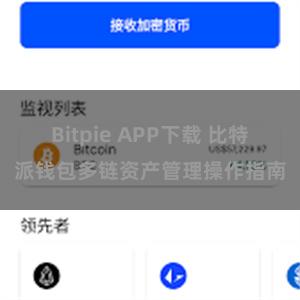 Bitpie APP下载 比特派钱包多链资产管理操作指南