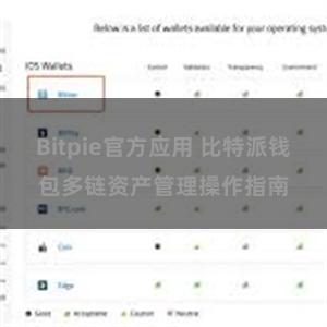 Bitpie官方应用 比特派钱包多链资产管理操作指南