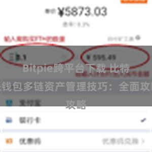 Bitpie跨平台下载 比特派钱包多链资产管理技巧：全面攻略