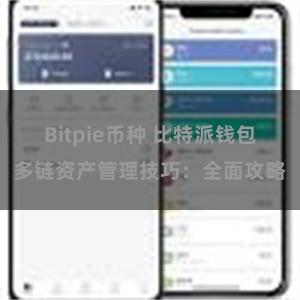 Bitpie币种 比特派钱包多链资产管理技巧：全面攻略