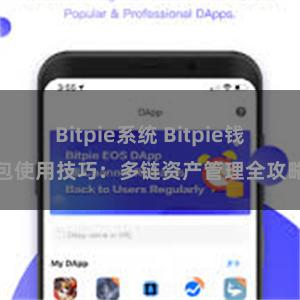 Bitpie系统 Bitpie钱包使用技巧：多链资产管理全攻略