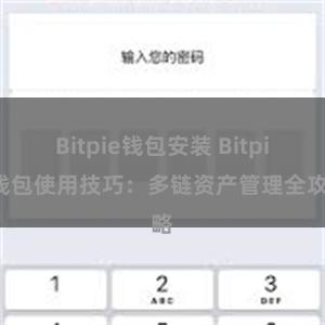 Bitpie钱包安装 Bitpie钱包使用技巧：多链资产管理全攻略