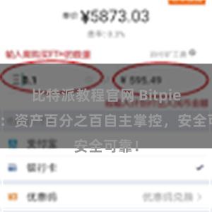 比特派教程官网 Bitpie钱包：资产百分之百自主掌控，安全可靠！