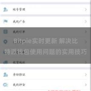 Bitpie实时更新 解决比特派钱包使用问题的实用技巧