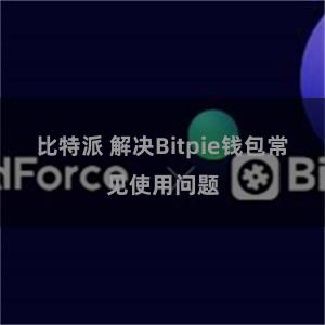 比特派 解决Bitpie钱包常见使用问题