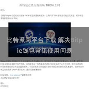 比特派跨平台下载 解决Bitpie钱包常见使用问题