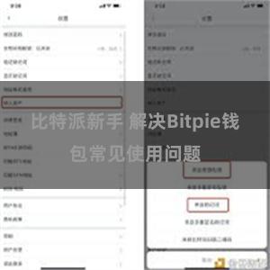 比特派新手 解决Bitpie钱包常见使用问题