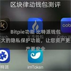 Bitpie功能 比特派钱包：强大的隐私保护功能，让您资产更安全