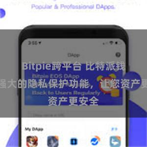 Bitpie跨平台 比特派钱包：强大的隐私保护功能，让您资产更安全