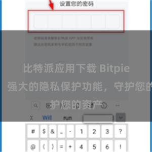 比特派应用下载 Bitpie钱包：强大的隐私保护功能，守护您的资产