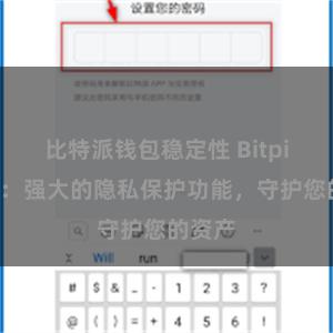 比特派钱包稳定性 Bitpie钱包：强大的隐私保护功能，守护您的资产