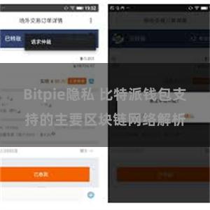 Bitpie隐私 比特派钱包支持的主要区块链网络解析