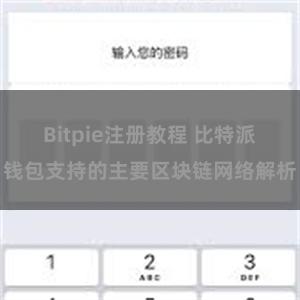 Bitpie注册教程 比特派钱包支持的主要区块链网络解析