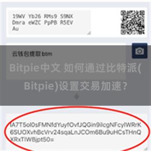 Bitpie中文 如何通过比特派(Bitpie)设置交易加速？