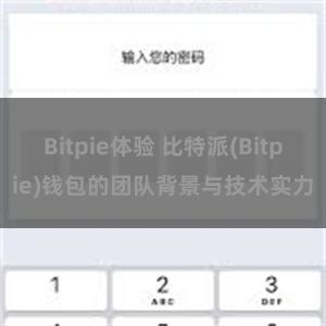 Bitpie体验 比特派(Bitpie)钱包的团队背景与技术实力