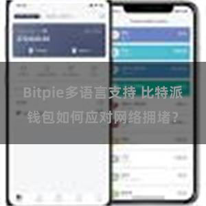 Bitpie多语言支持 比特派钱包如何应对网络拥堵？