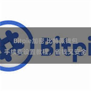 Bitpie加密 比特派钱包手续费设置教程，省钱又安全