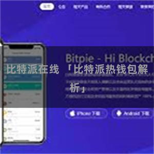 比特派在线 「比特派热钱包解析」