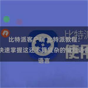 比特派客户端 比特派教程：快速掌握这还不算复杂的编程语言