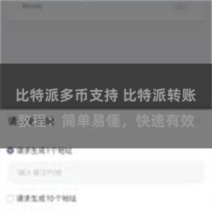 比特派多币支持 比特派转账教程：简单易懂，快速有效