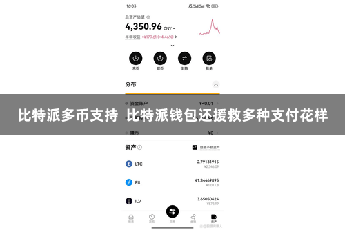 比特派多币支持  比特派钱包还援救多种支付花样