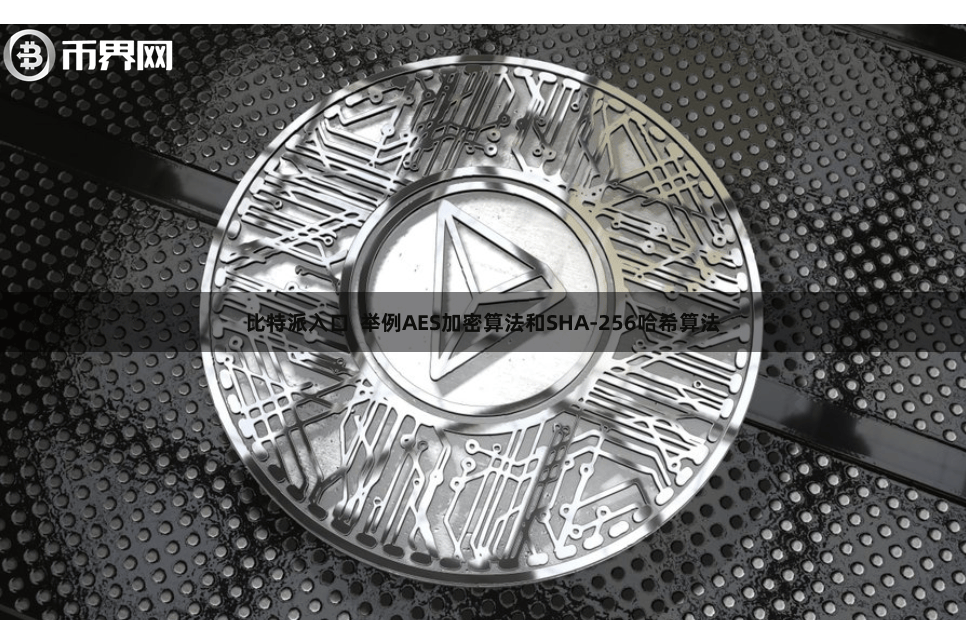比特派入口  举例AES加密算法和SHA-256哈希算法